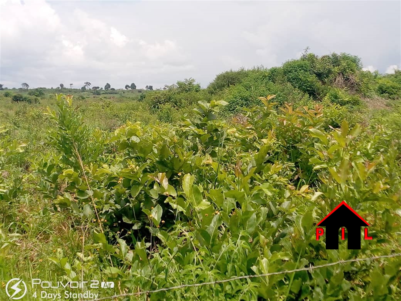 Agricultural Land for sale in Butalangu Nakaseke