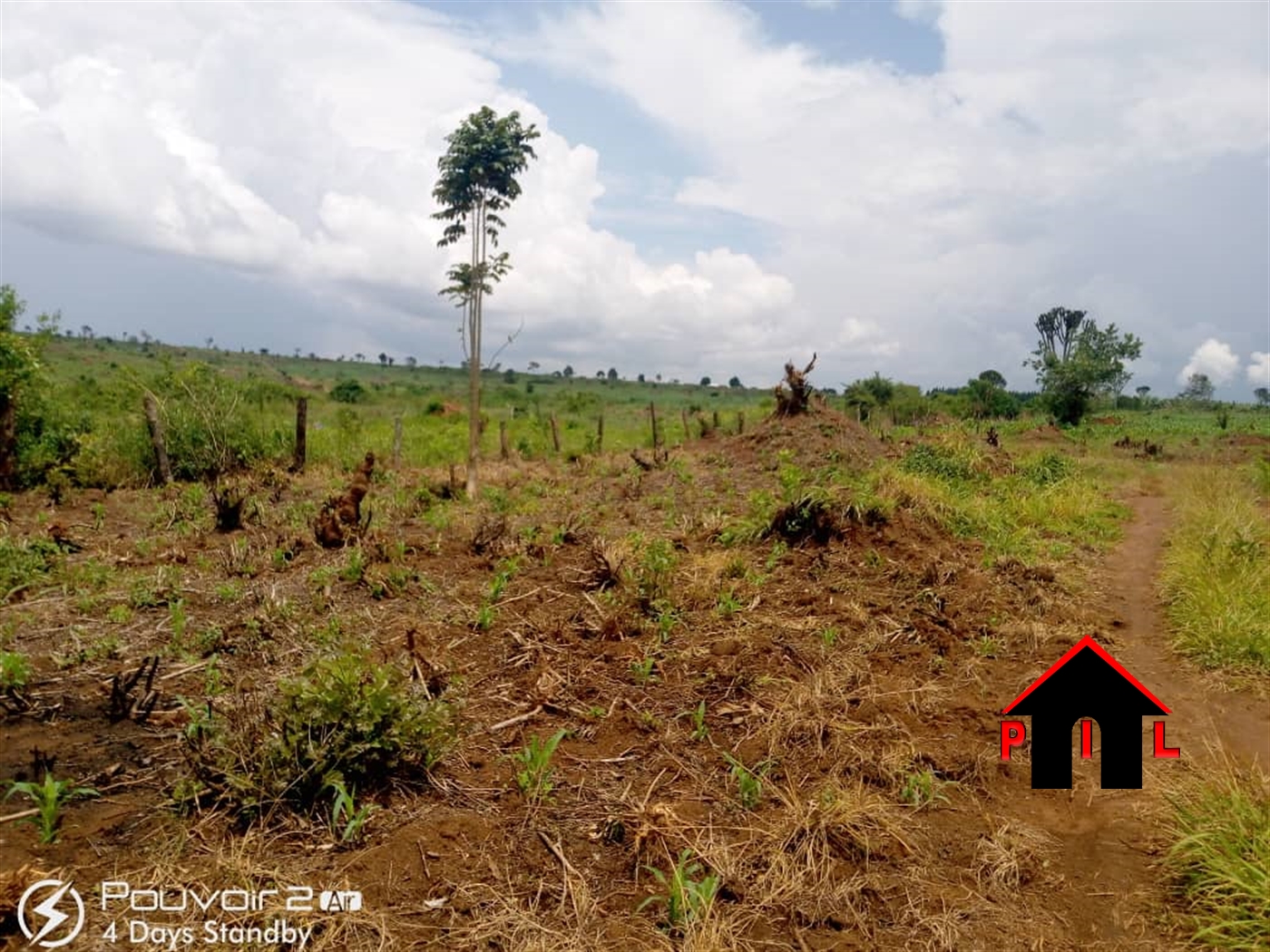 Agricultural Land for sale in Butalangu Nakaseke