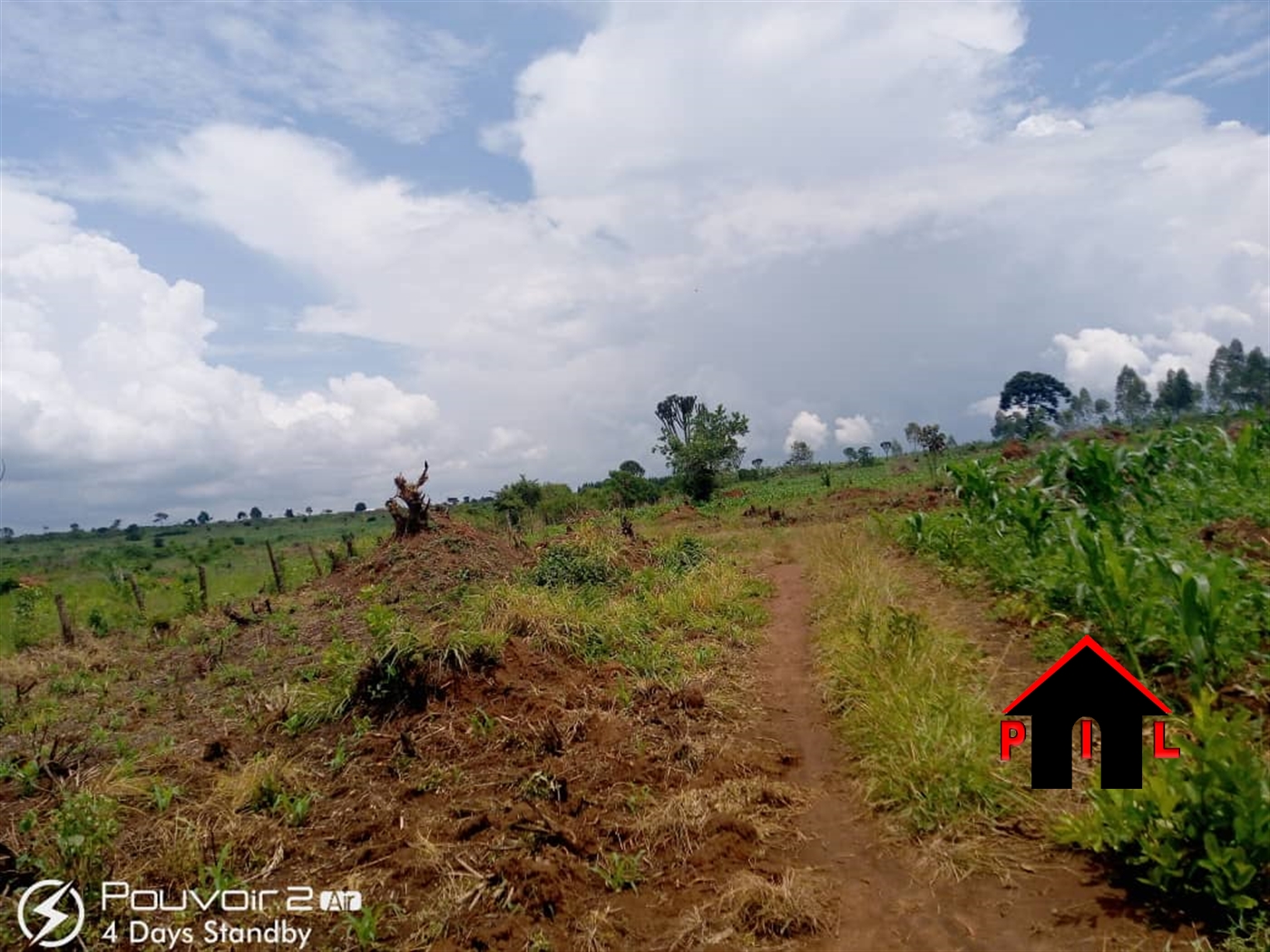 Agricultural Land for sale in Butalangu Nakaseke