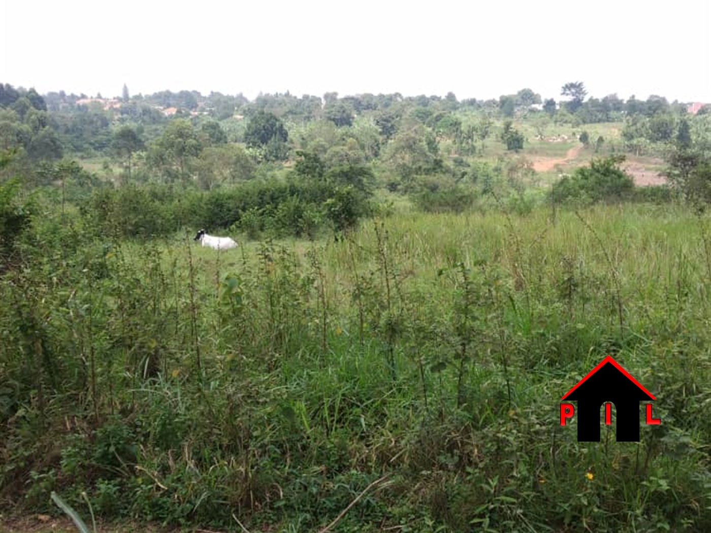 Agricultural Land for sale in Busiika Luweero