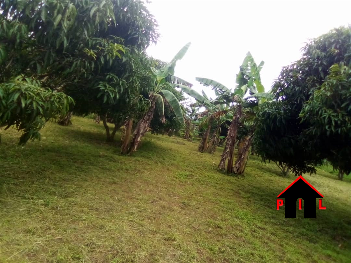 Commercial Land for sale in Ntinda Kampala