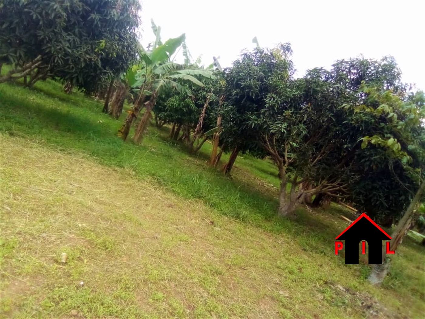 Commercial Land for sale in Ntinda Kampala