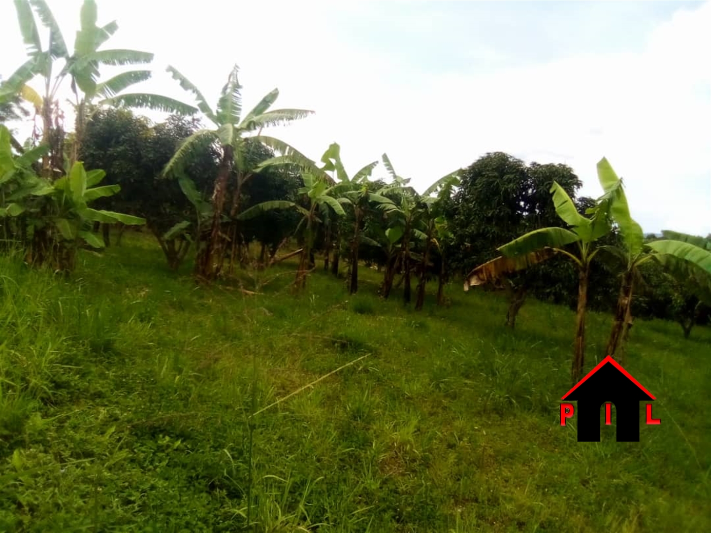 Commercial Land for sale in Ntinda Kampala