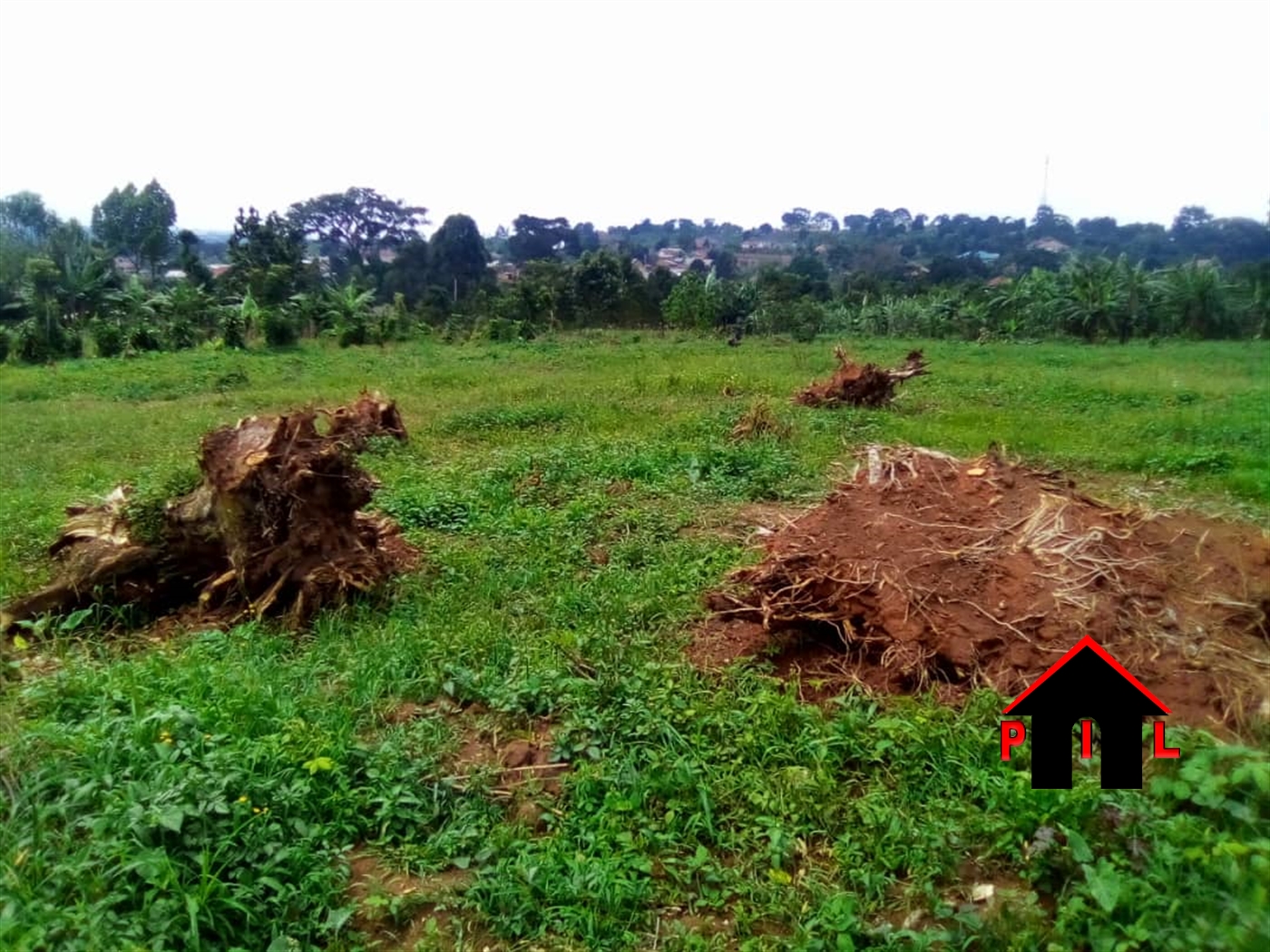 Residential Land for sale in Bukeelele Mukono