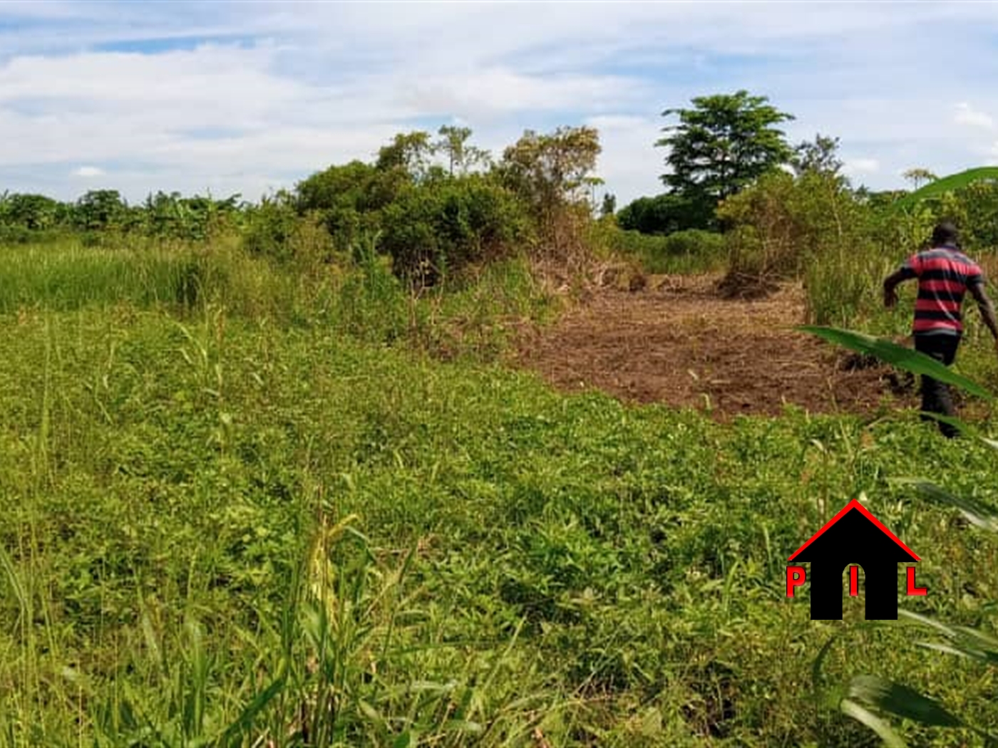 Agricultural Land for sale in Wabitungulu Luweero