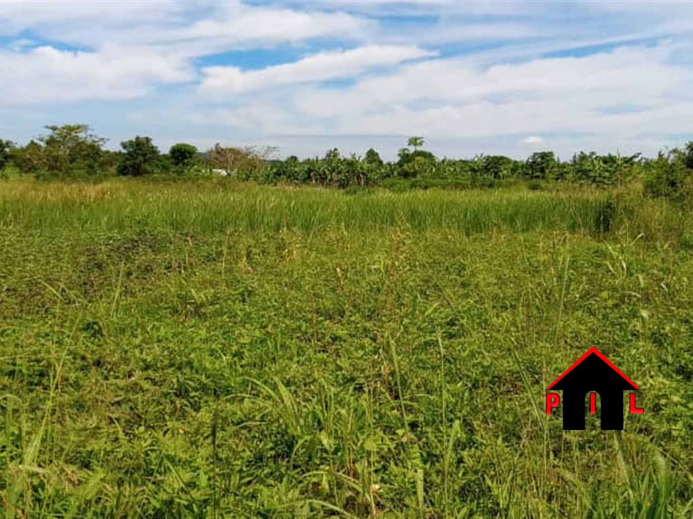 Agricultural Land for sale in Wabitungulu Luweero