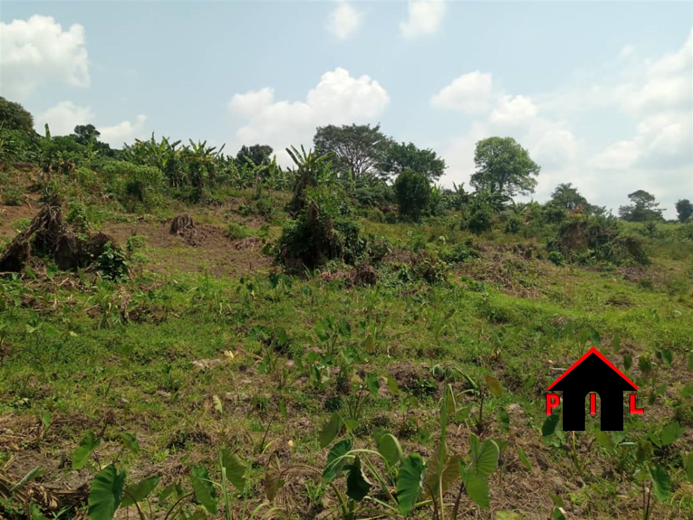 Agricultural Land for sale in Wakyato Luweero