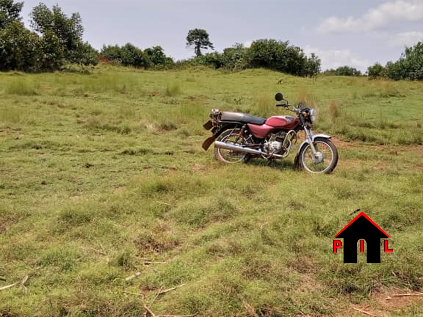 Agricultural Land for sale in Nakabululu Luweero