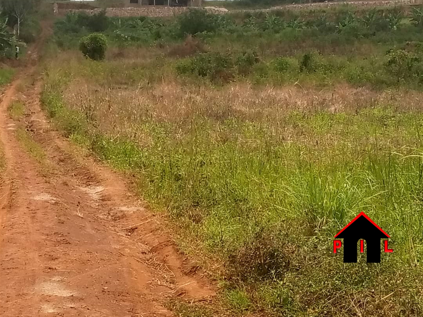 Agricultural Land for sale in Kamwaano Luweero