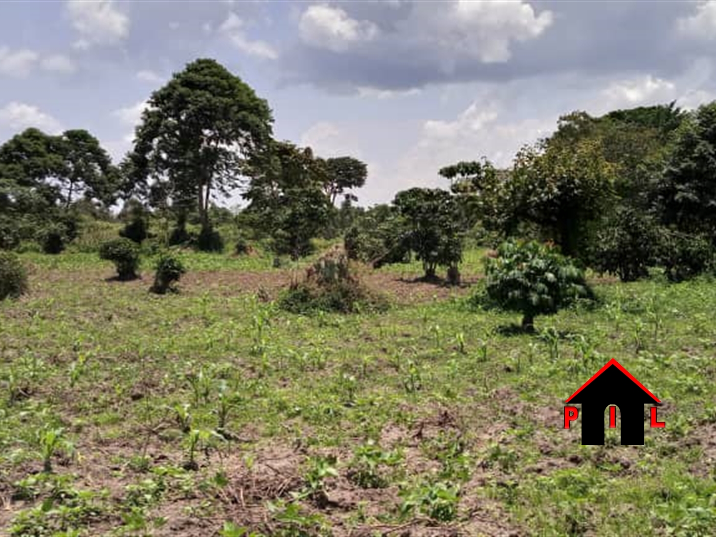 Agricultural Land for sale in Mpangati Luweero