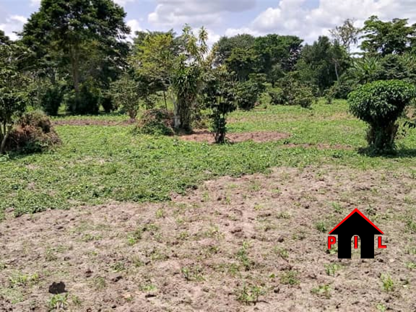 Agricultural Land for sale in Mpangati Luweero