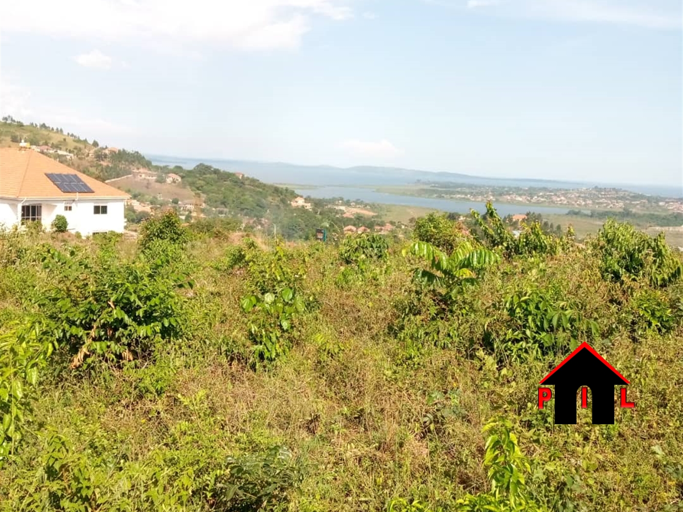 Agricultural Land for sale in Tongo Luweero