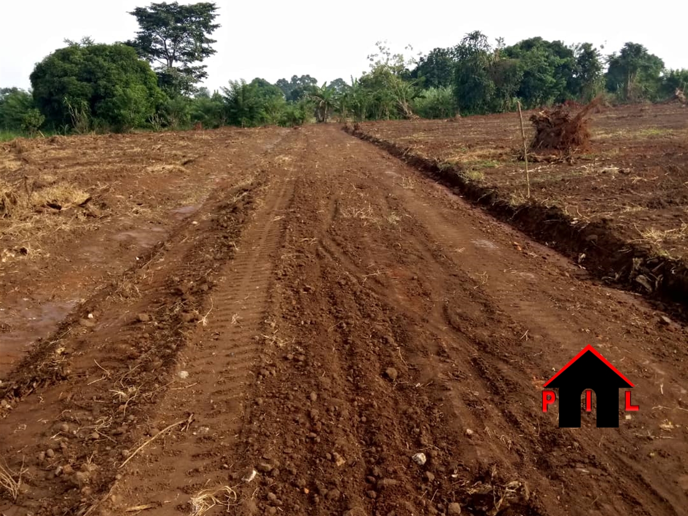 Agricultural Land for sale in Buyikwe Buyikwe