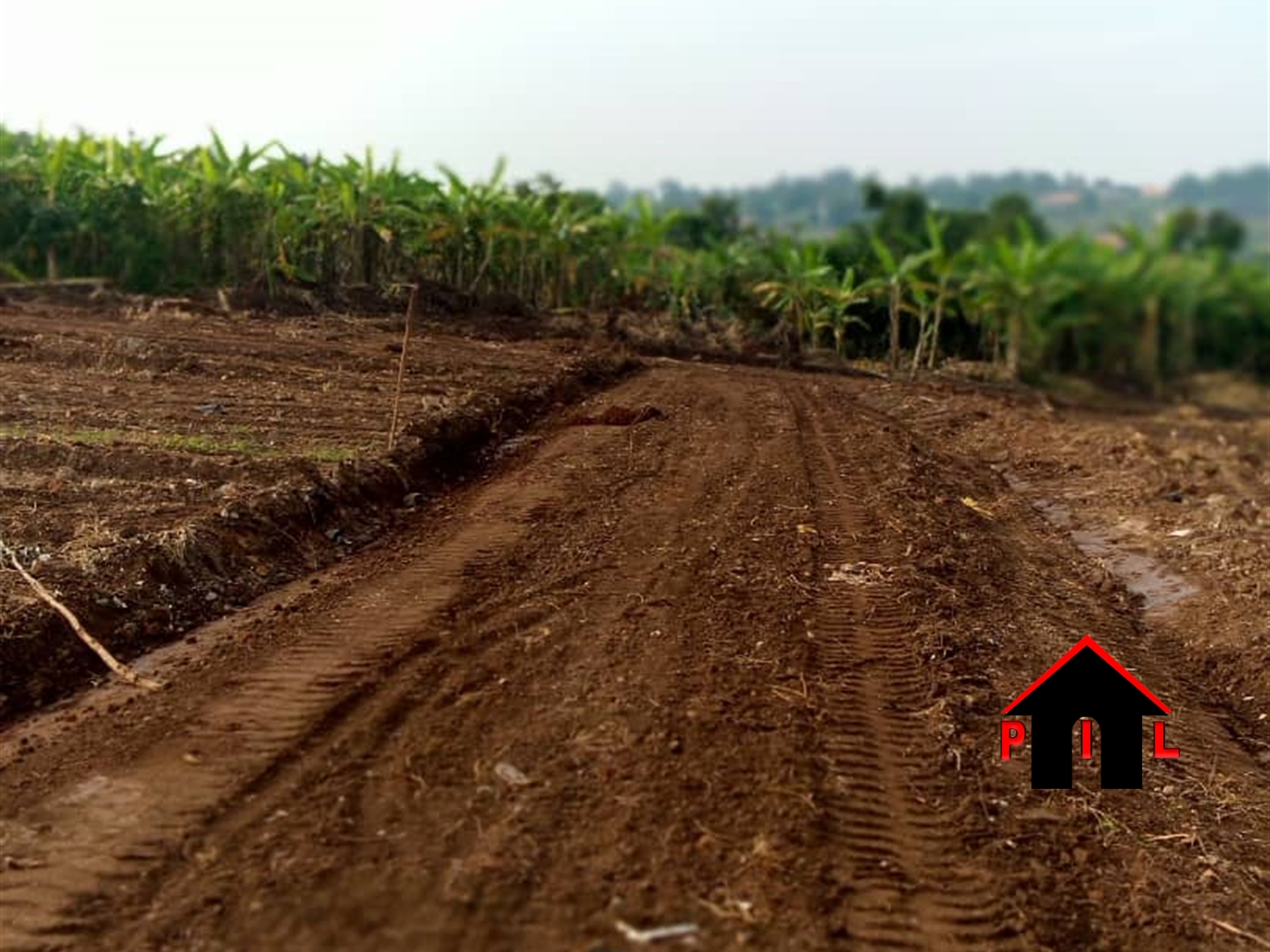 Agricultural Land for sale in Buyikwe Buyikwe