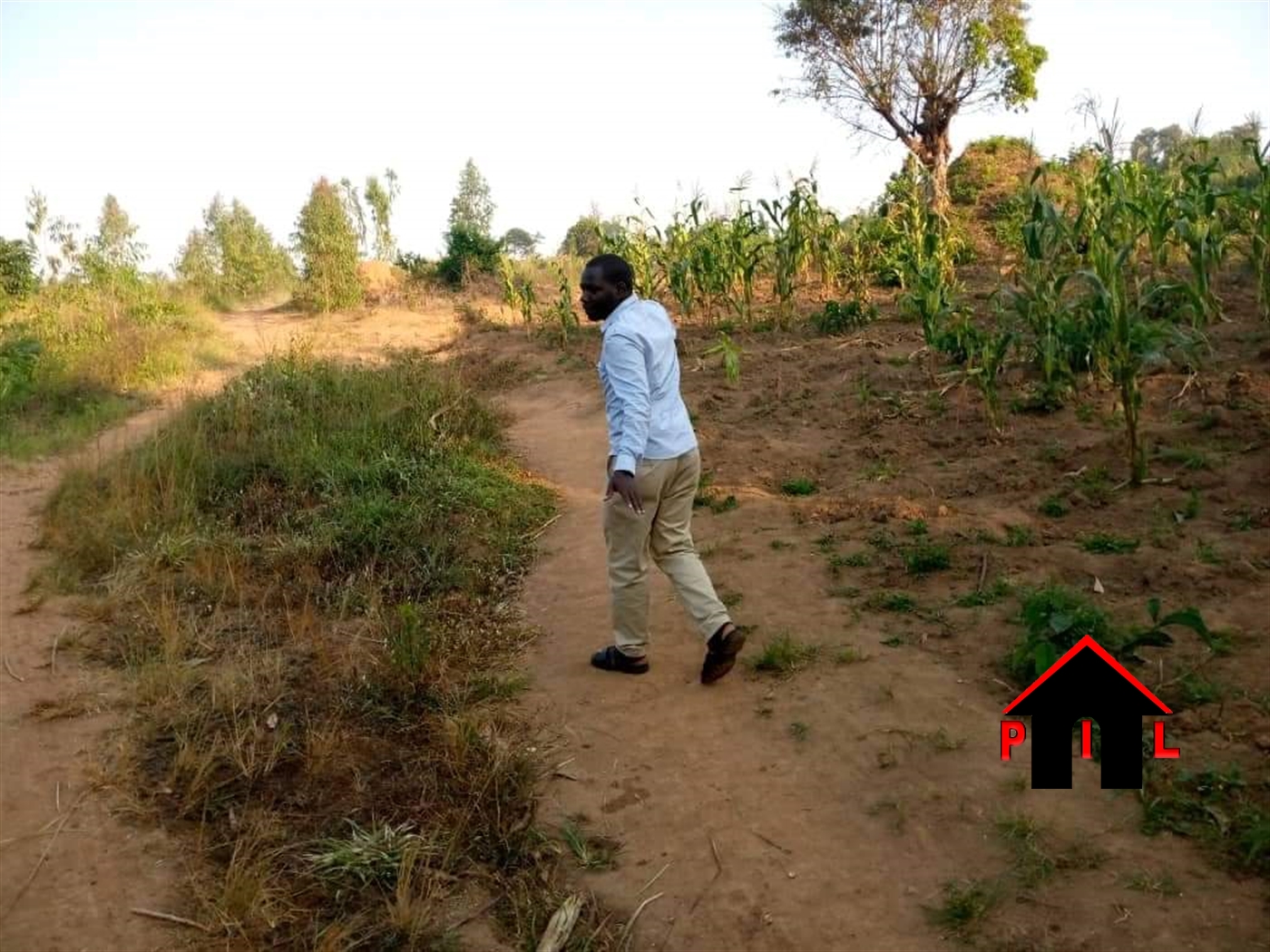 Commercial Land for sale in Bbaale Kayunga