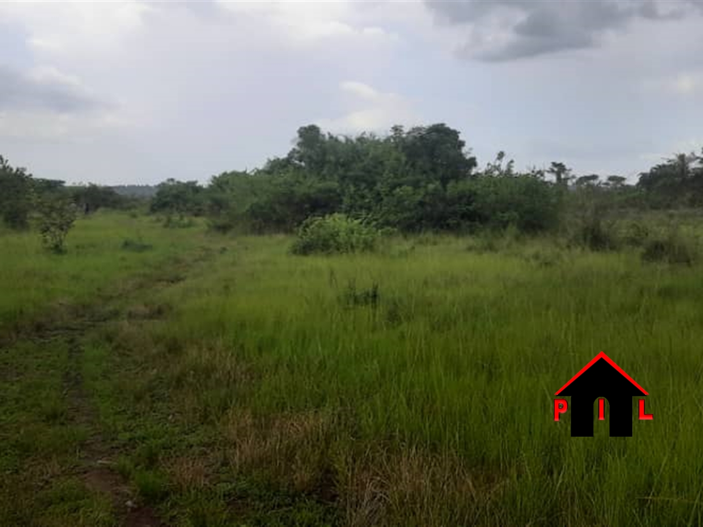 Agricultural Land for sale in Bubuubi Luweero