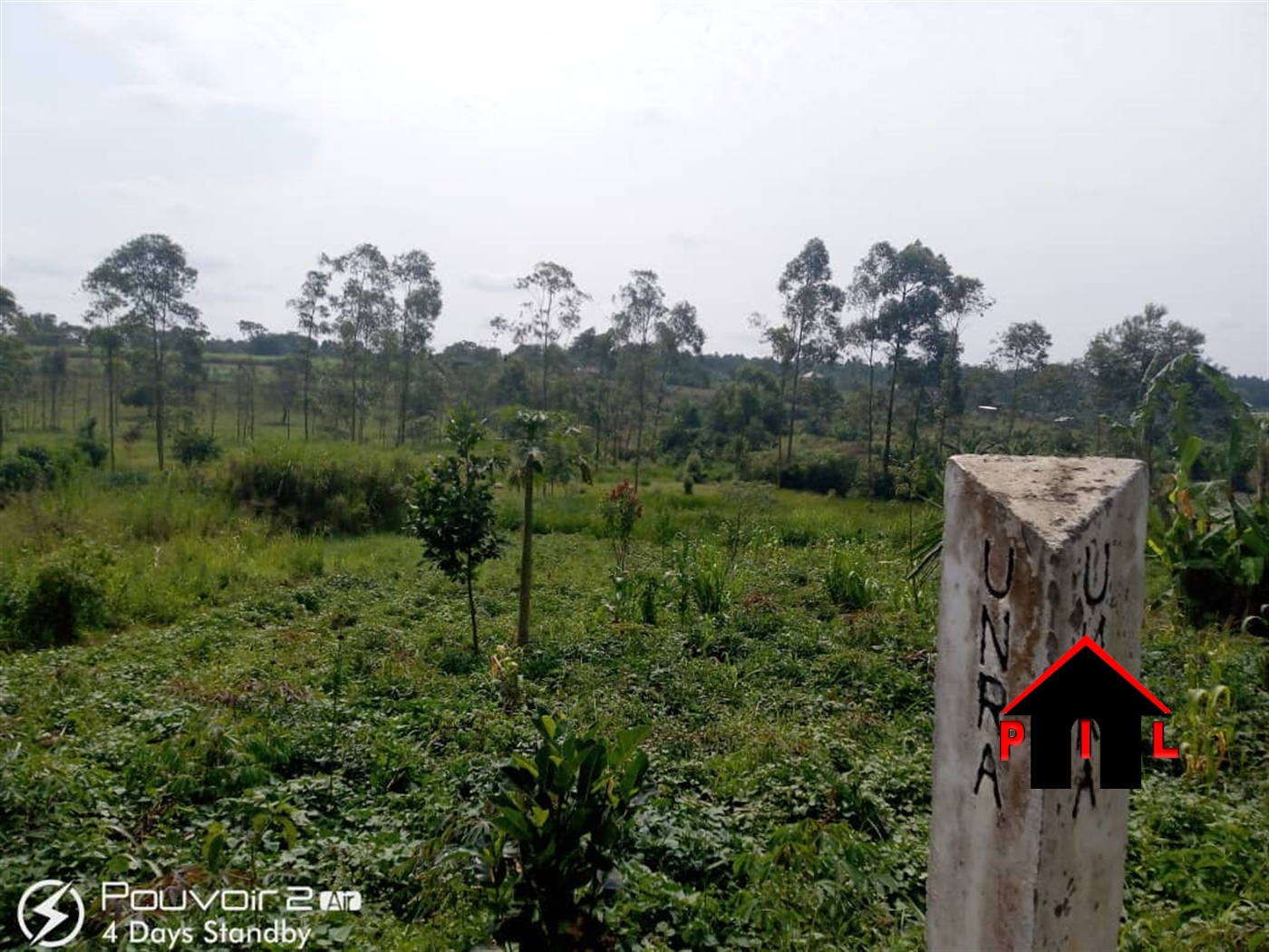 Agricultural Land for sale in Nakabululu Luweero