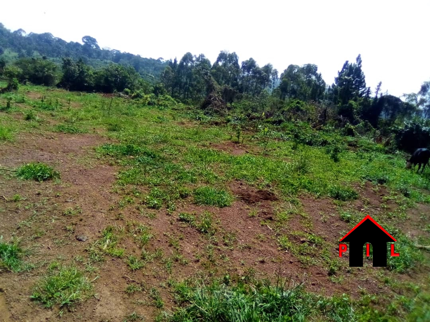 Commercial Land for sale in Kasayi Mukono