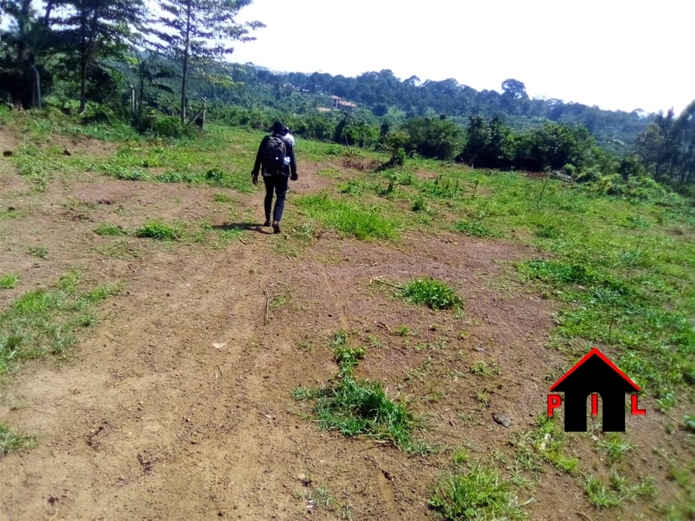 Commercial Land for sale in Kasayi Mukono