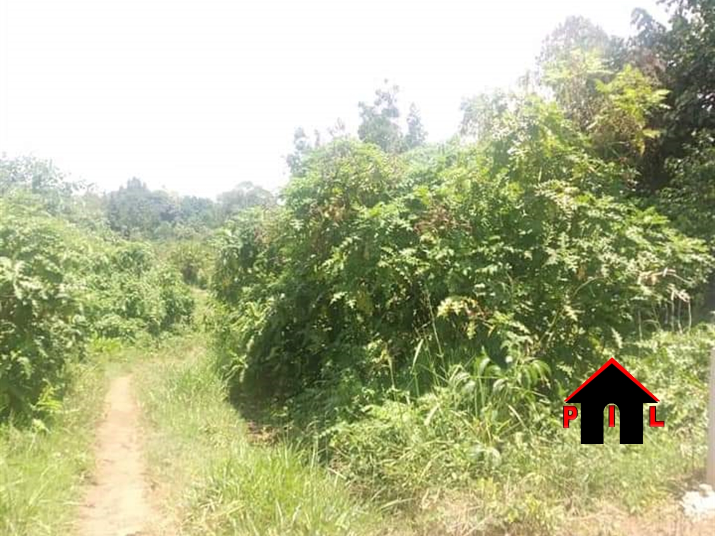 Agricultural Land for sale in Mpoma Mukono