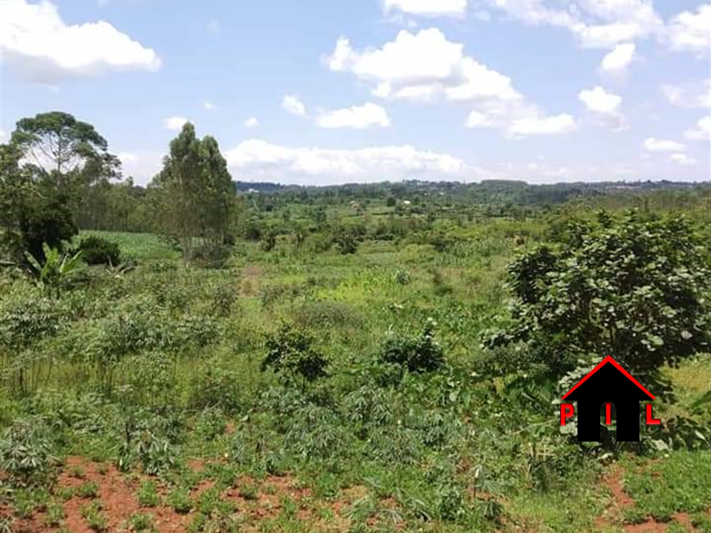 Agricultural Land for sale in Mpoma Mukono