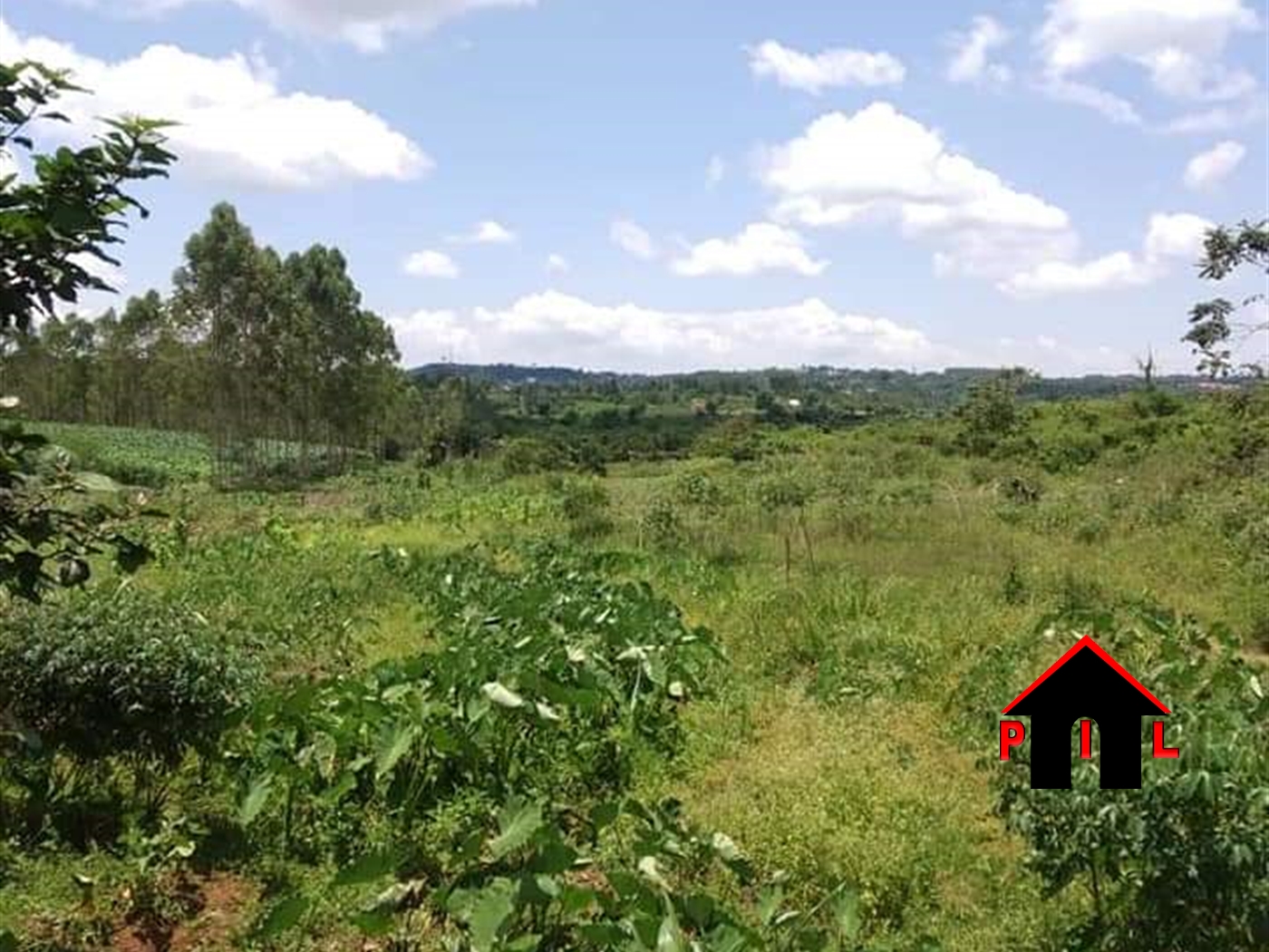 Agricultural Land for sale in Mpoma Mukono