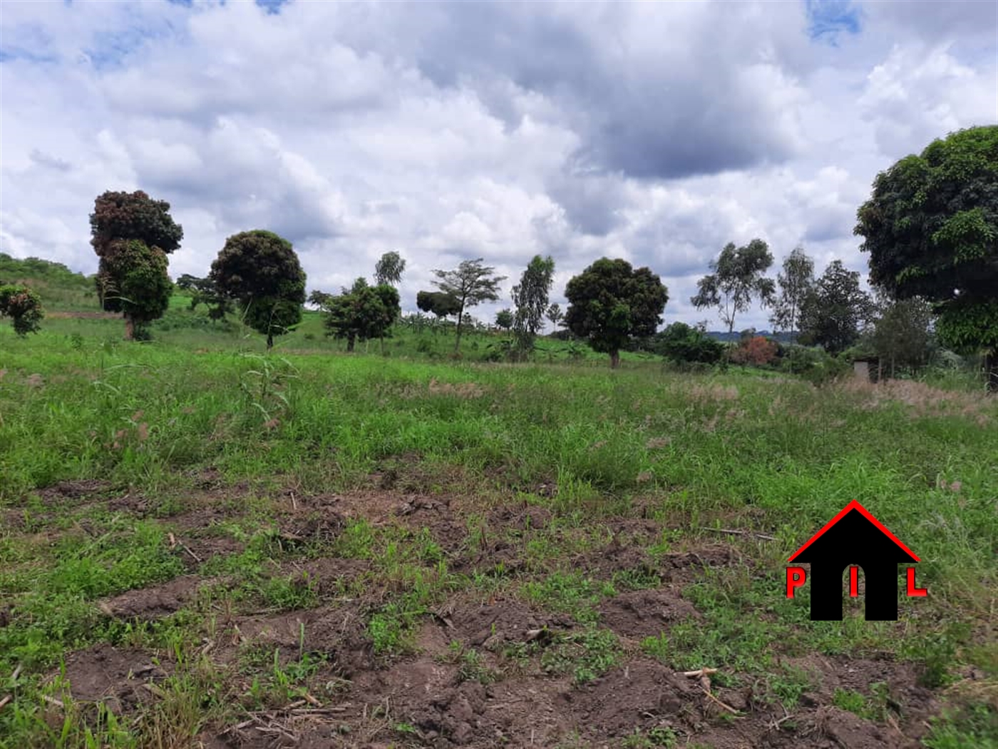 Agricultural Land for sale in Kisoga Mukono