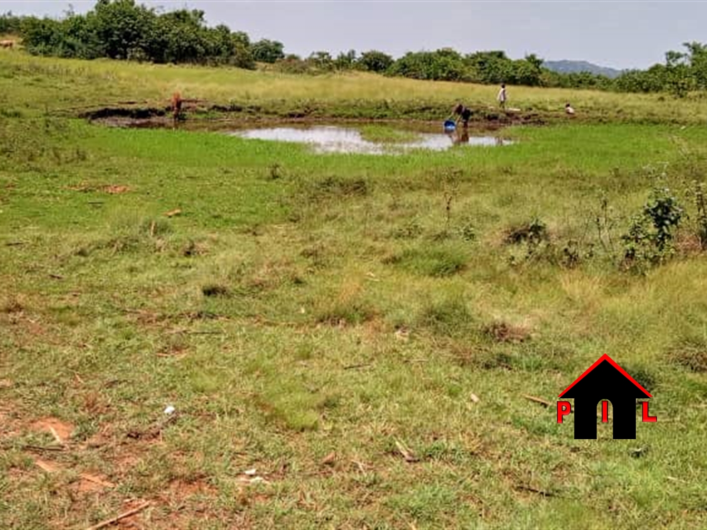 Commercial Land for sale in Maya Masaka
