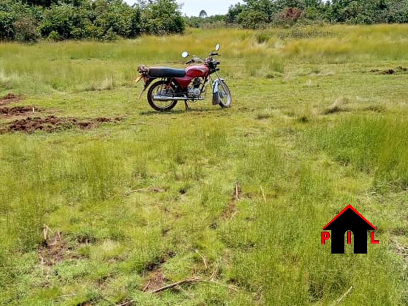 Commercial Land for sale in Maya Masaka