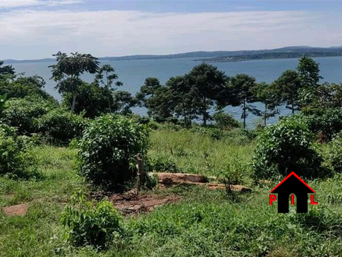 Agricultural Land for sale in Nkokonjeru Buyikwe