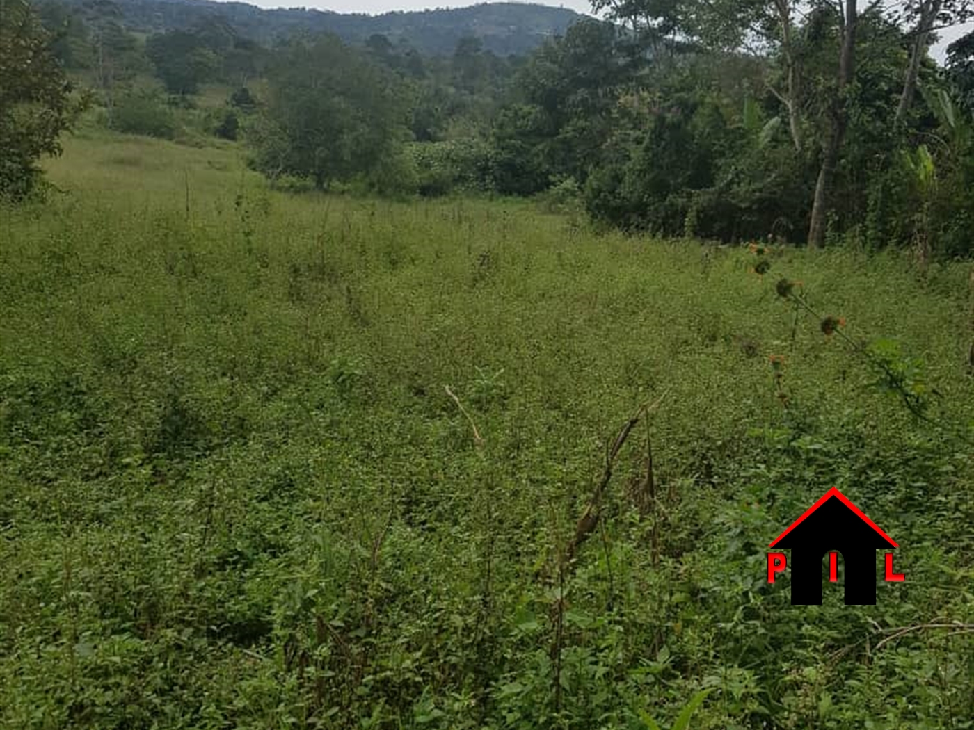 Agricultural Land for sale in Bunakijja Mukono