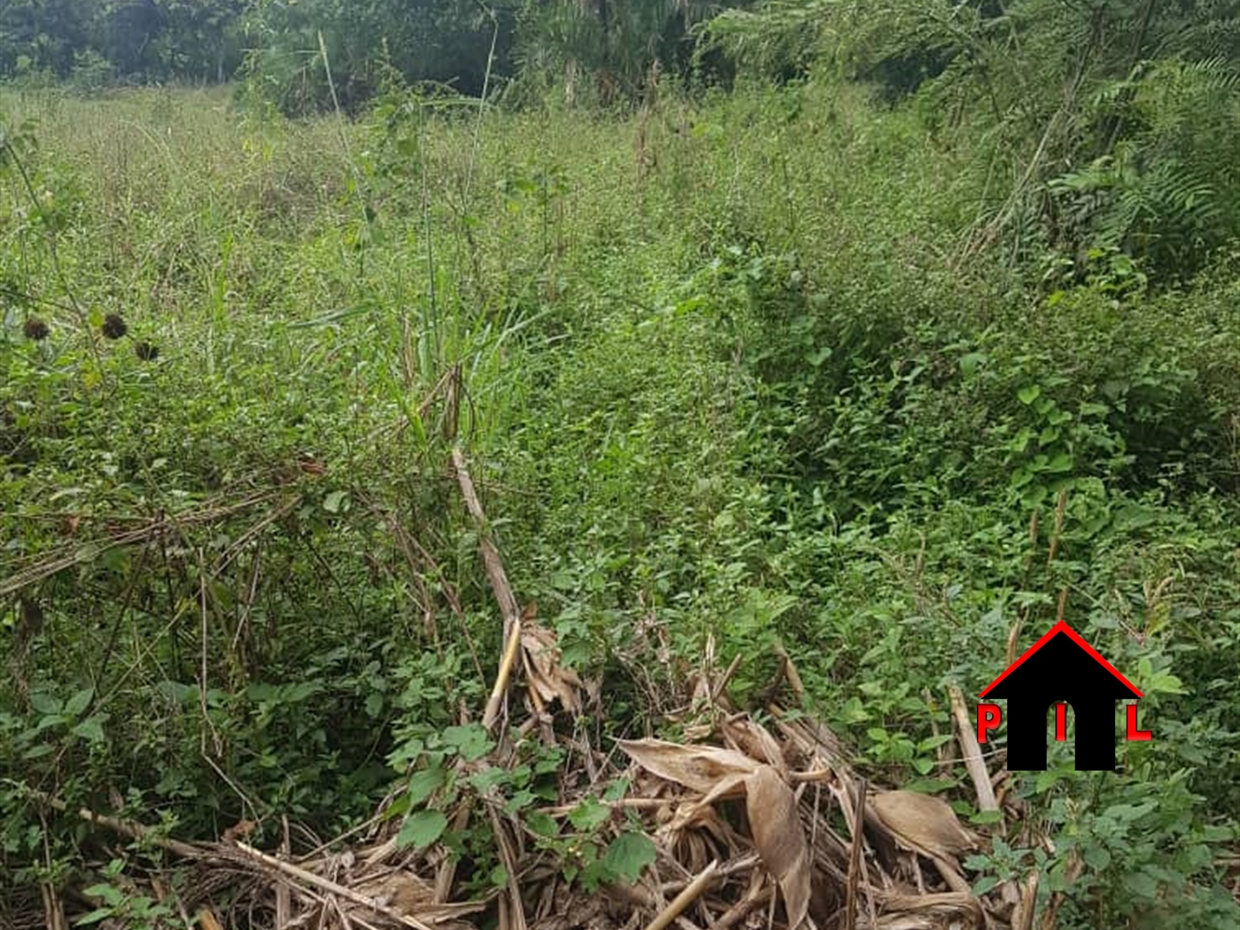 Agricultural Land for sale in Bunakijja Mukono