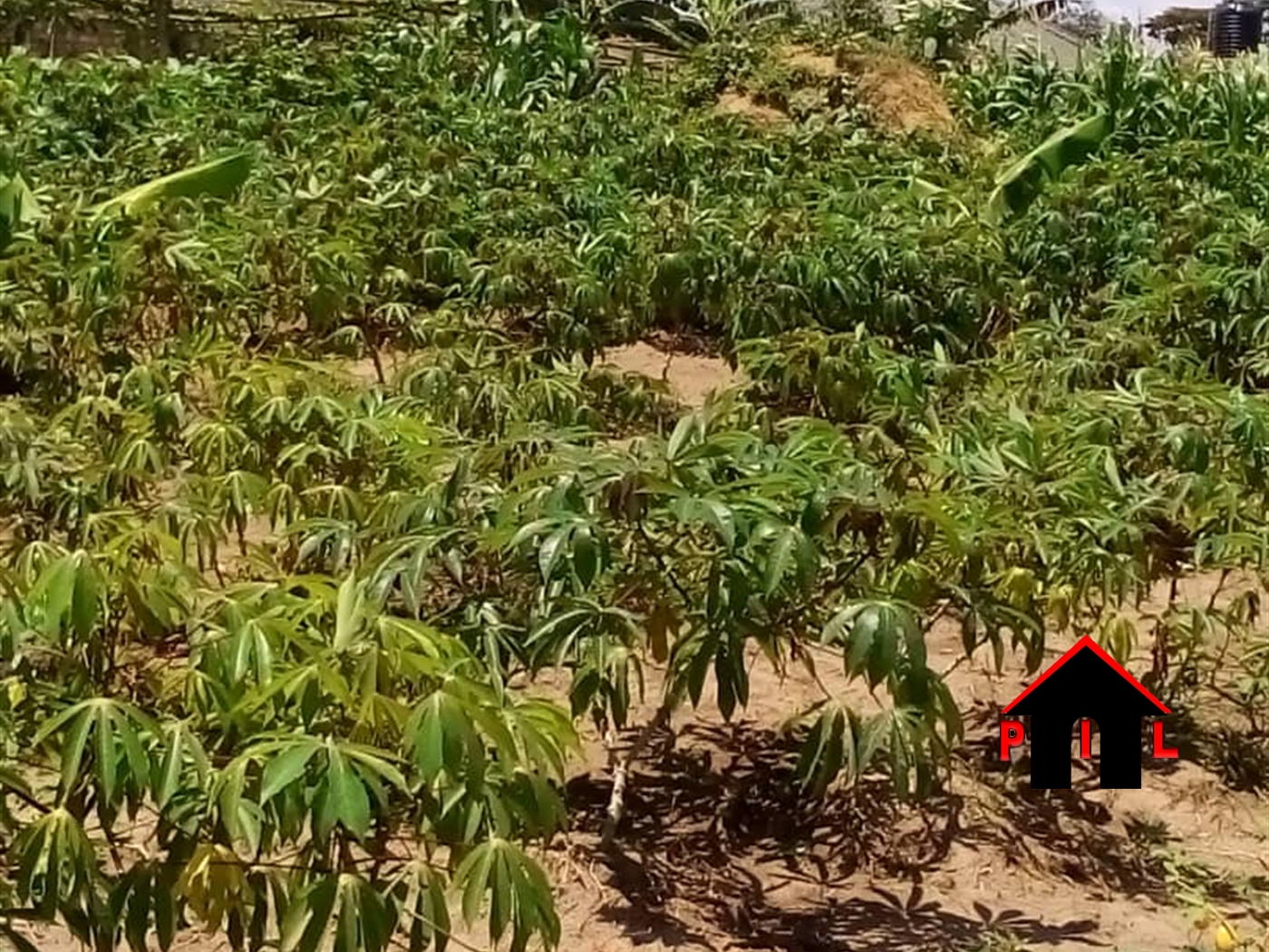 Residential Land for sale in Kyaliwajjala Wakiso