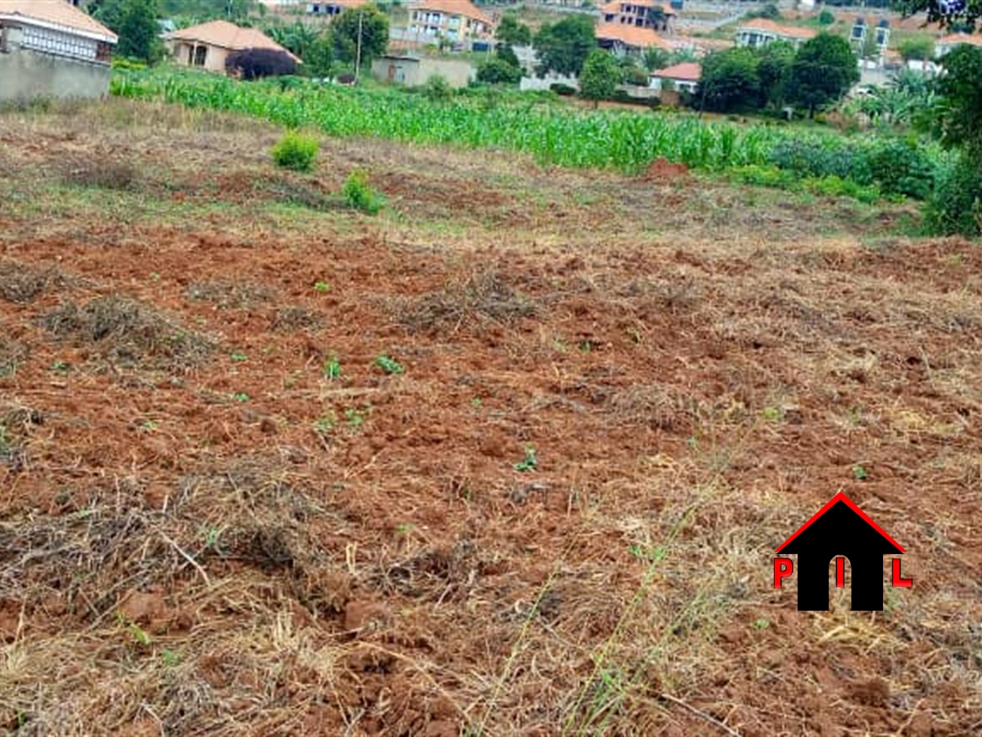 Agricultural Land for sale in Kikyuusa Luweero