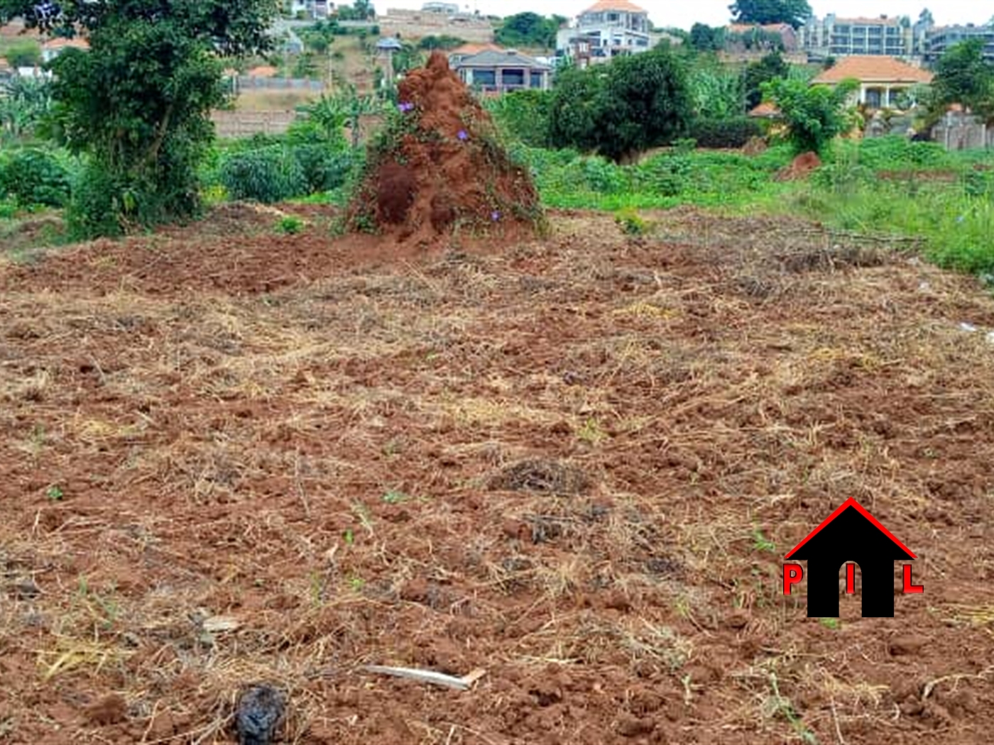 Agricultural Land for sale in Kikyuusa Luweero