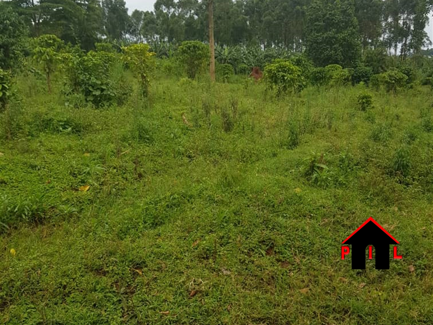 Residential Land for sale in Kiwenda Wakiso