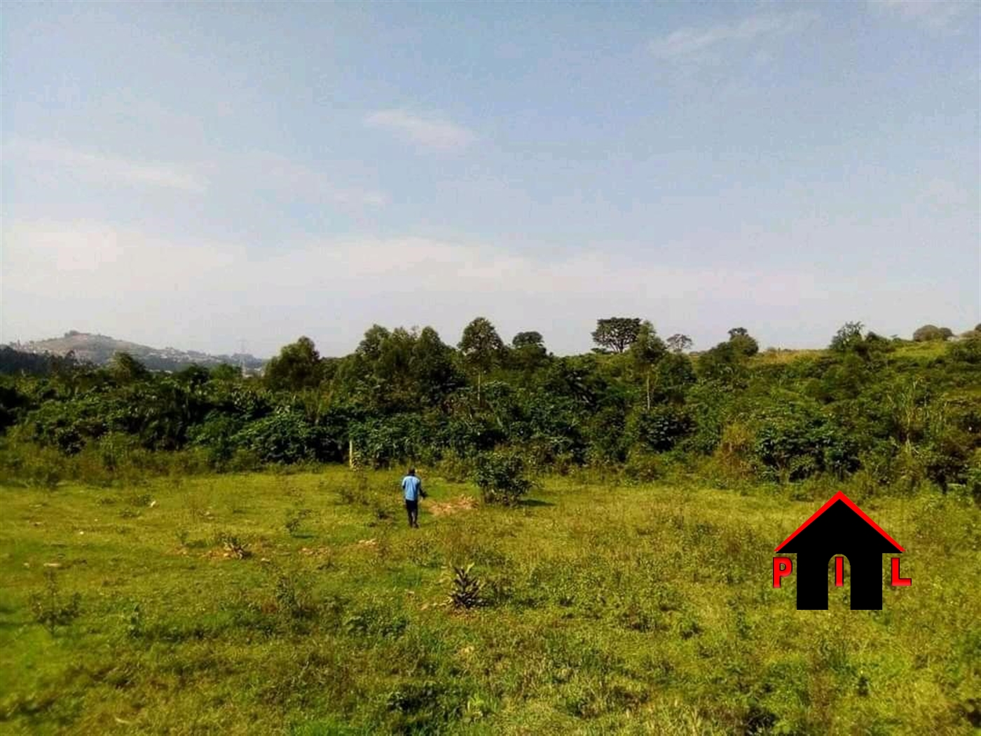 Agricultural Land for sale in Malangala Mityana
