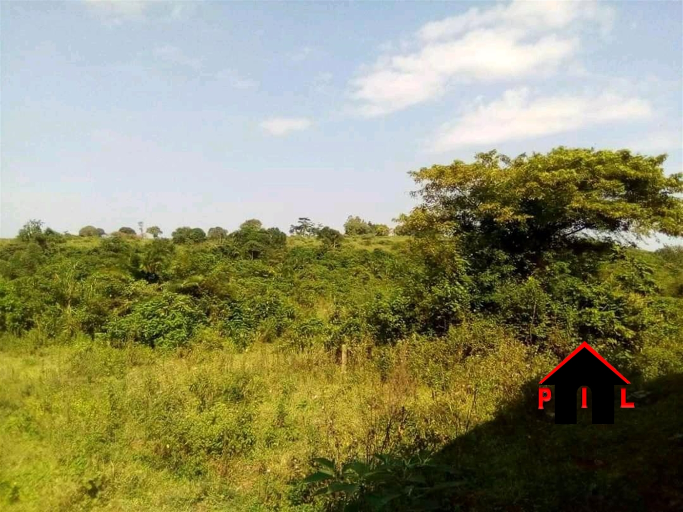 Agricultural Land for sale in Malangala Mityana