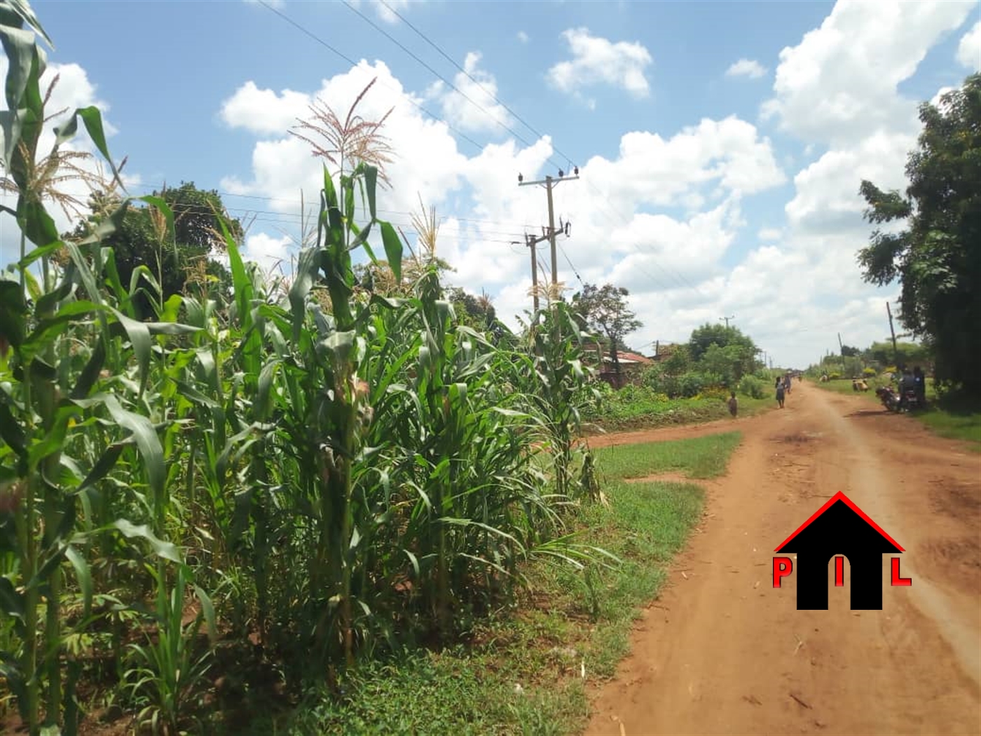 Agricultural Land for sale in Kiyunga Kamuli