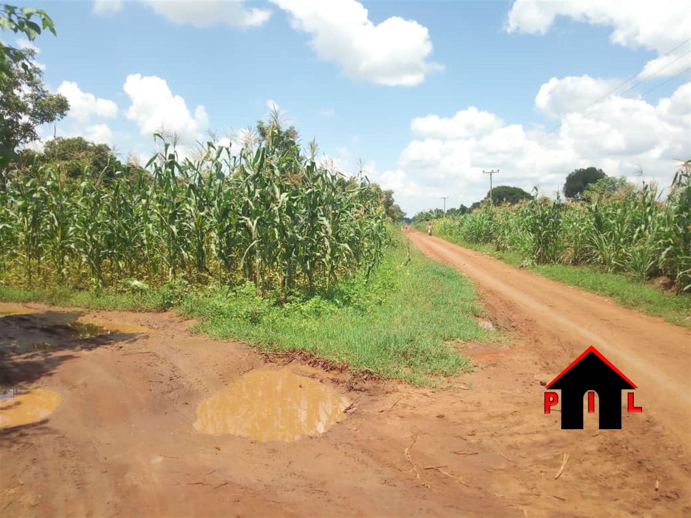 Agricultural Land for sale in Kiyunga Kamuli