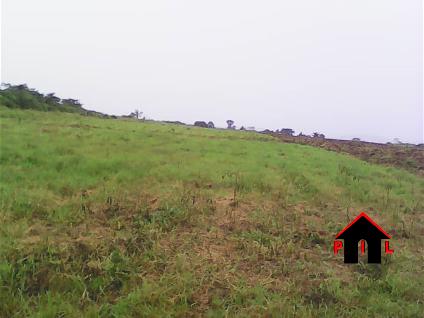 Commercial Land for sale in Makerere Kampala