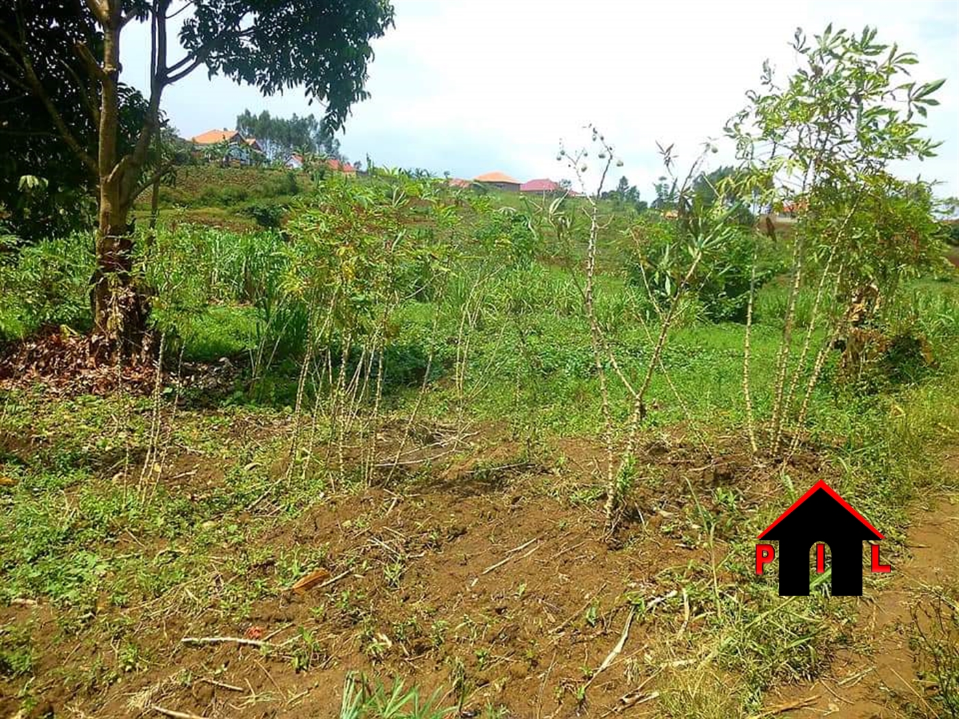 Agricultural Land for sale in Ntale Kalungu