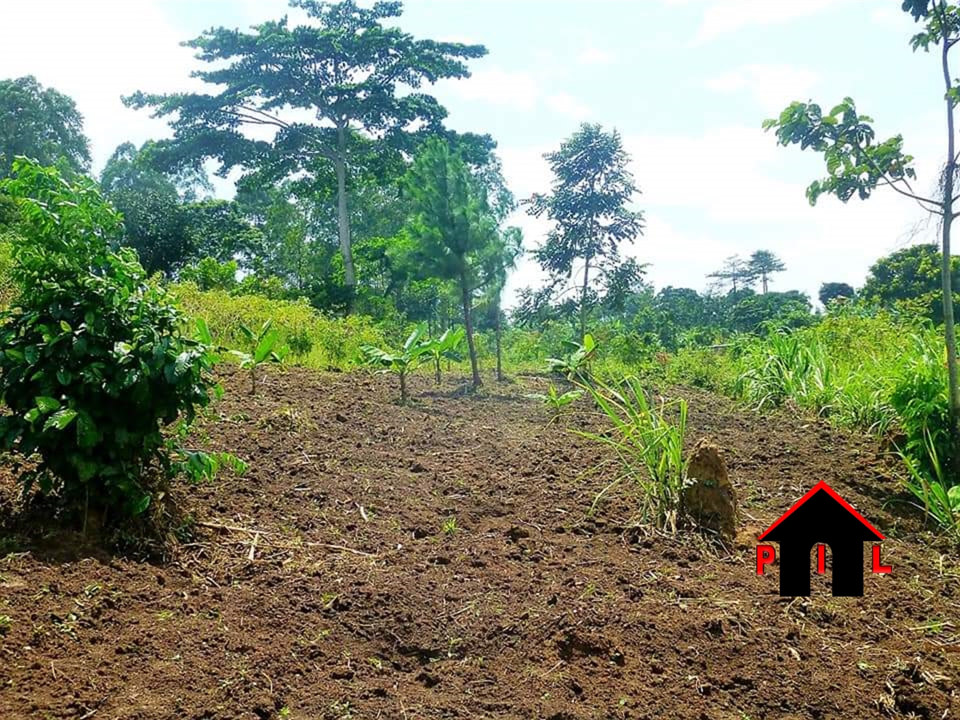 Agricultural Land for sale in Ntale Kalungu