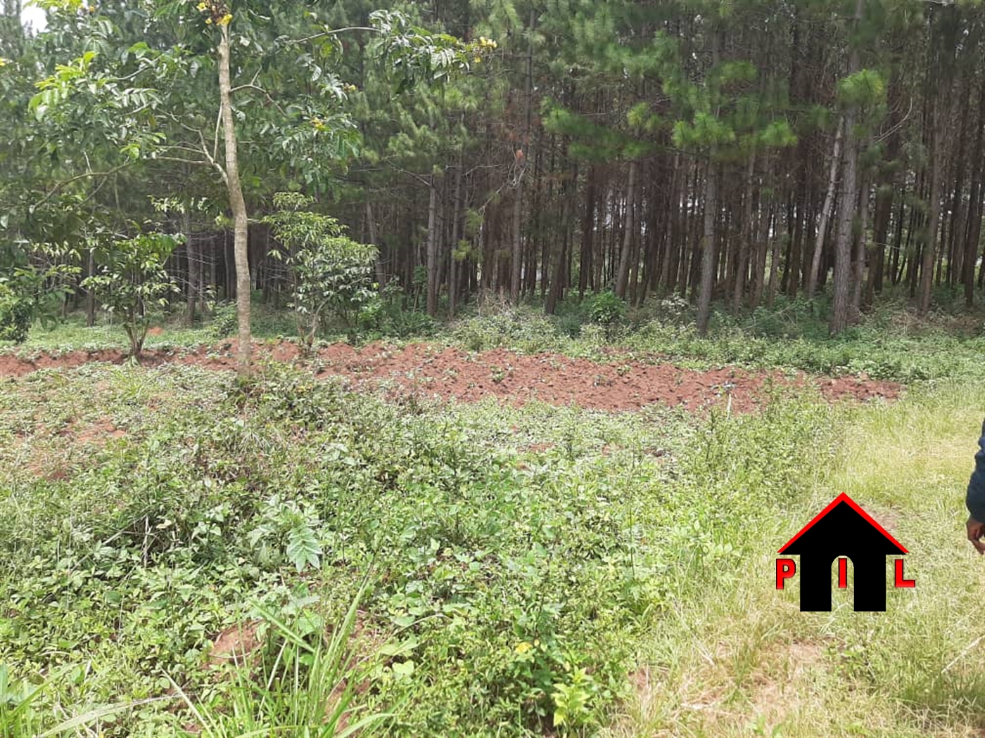 Agricultural Land for sale in Kalule Luweero