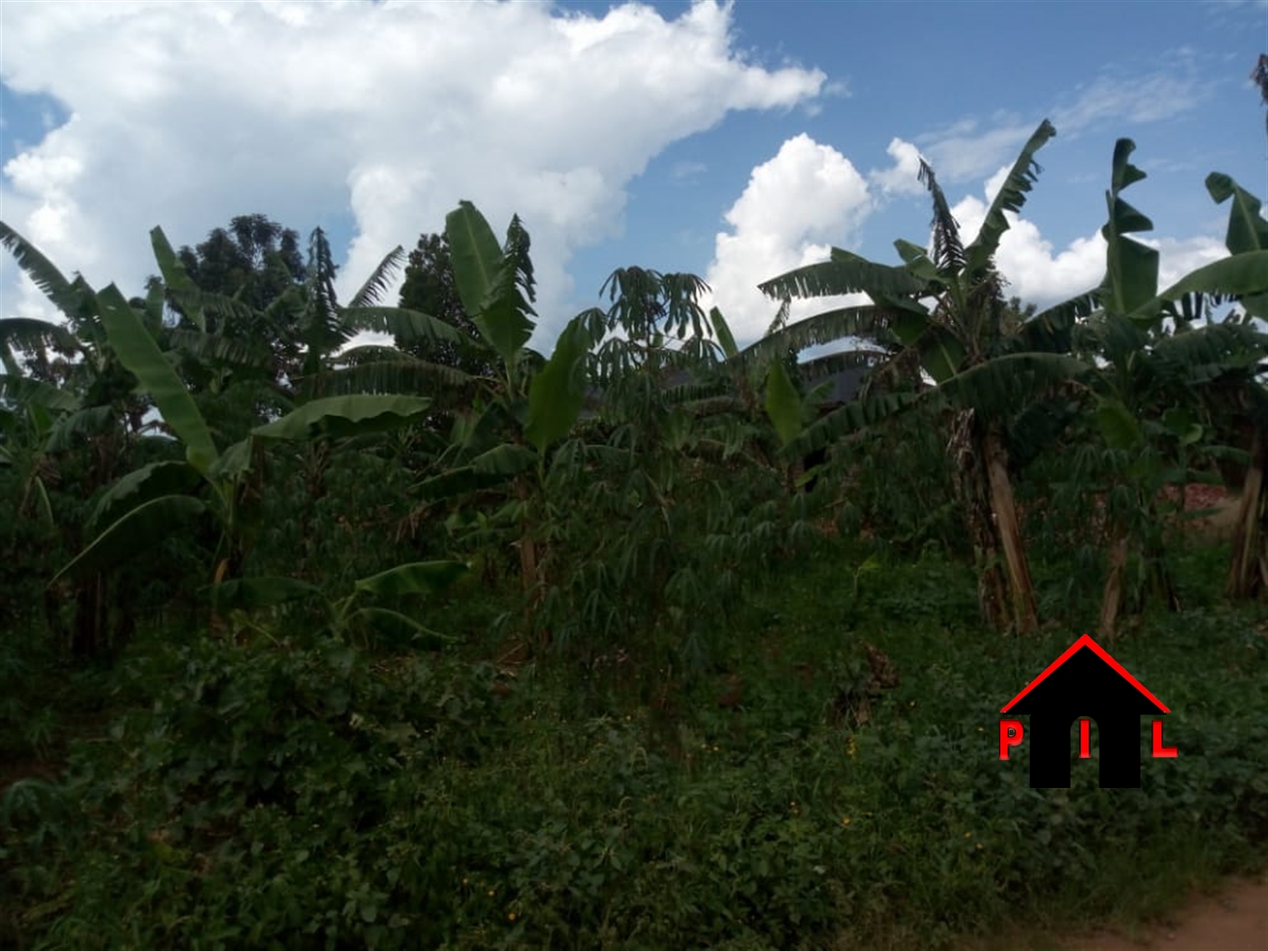 Commercial Land for sale in Vvumba Luweero