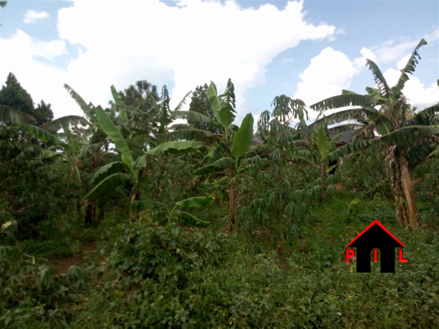 Commercial Land for sale in Vvumba Luweero