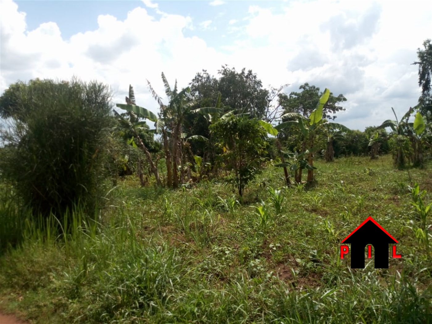 Commercial Land for sale in Vvumba Luweero