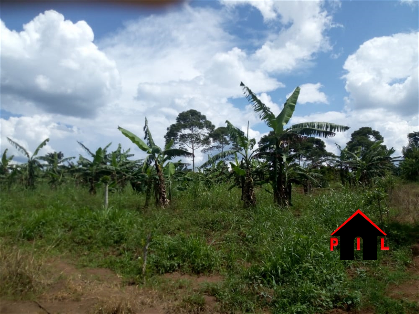 Commercial Land for sale in Vvumba Luweero