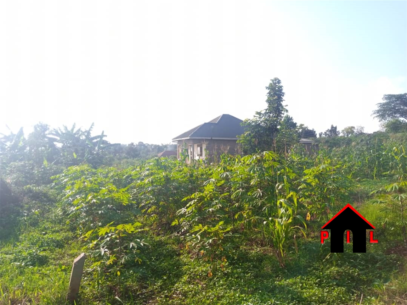 Agricultural Land for sale in Kikyuusa Luweero