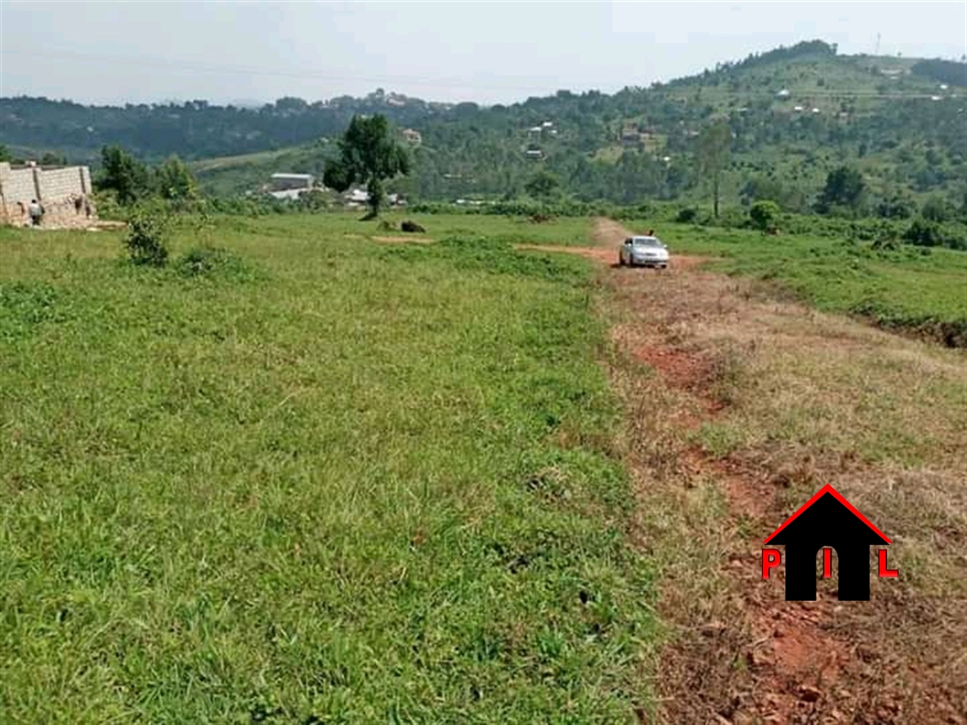 Agricultural Land for sale in Bulungi Nakaseke